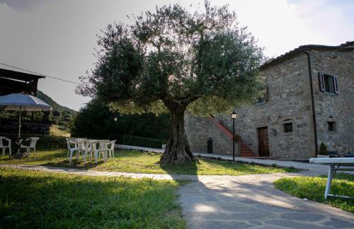 Casale Le Sette Vene - Photo 12