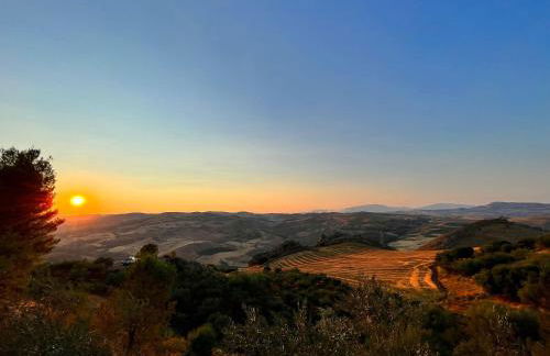 Agriturismo Villa Assunta - Foto 30