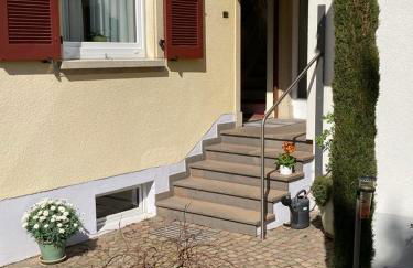 Terrassenwohnung - Foto 3