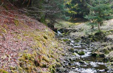 Rodzinny Dom Wypoczynkowy - Foto 14