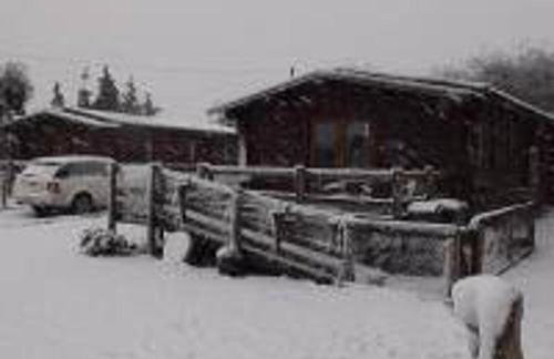 Hand built log cabin at Avonvale Holiday Lodges - Photo 17