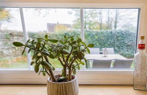 Cute and Cosy Little Cottage - Foto 15