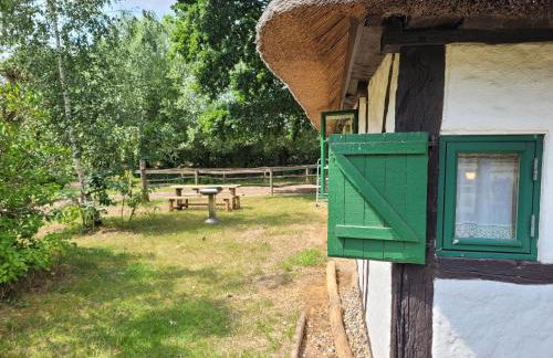 Ferienhof Schwalbennest OFC 24 - Foto 22