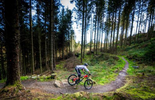 The Downshire Arms Apartments Hilltown - Foto 63