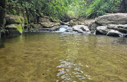 Natureza Loft - Foto 32