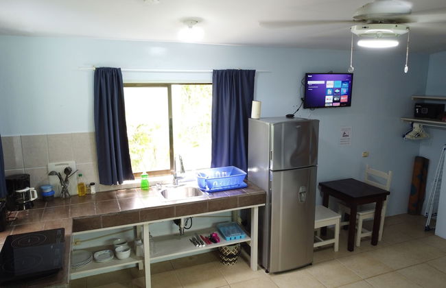 Bohemian Monkey - Foto 14