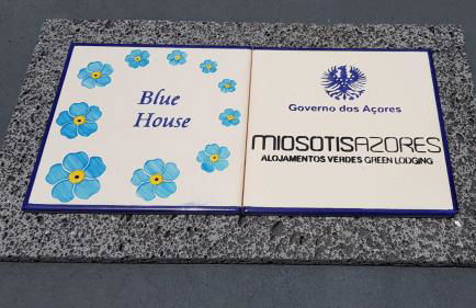 Casa Azul (Blue House) - Photo 21