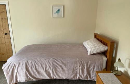 Ffyllon Fawr - Foto 14