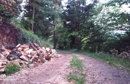 Casa el rey 12 - Apartamentos Buenos Aires y Figueras AR-1419-AS - Foto 30