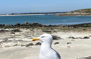 Confortable maison rénovée, jardin clos, 1km plage - Foto 39