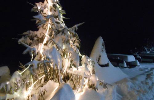 Agriturismo La Casa Nei Boschi - Foto 78