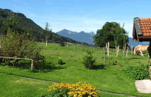 1 - House Rosenegger - Photo 17