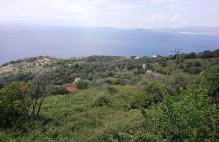 Avgoustina's Home - Foto 22