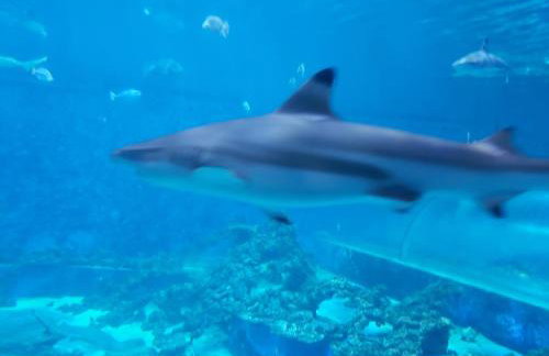 Apartament "DESTINATION" przy AQUAPARKu - Foto 33