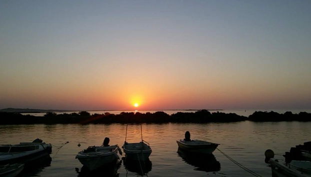 Estudios Salinas - Foto 5