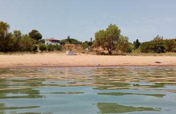 Margarita House - Photo 16