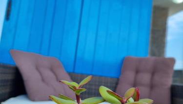 Stone House Iva - Foto 5