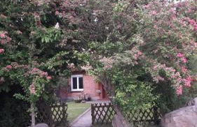 Ferienhof Steinbruch - Foto 9