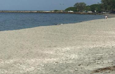 Beach Front San Marco 2 bedroom condo Venice Florida - Photo 14