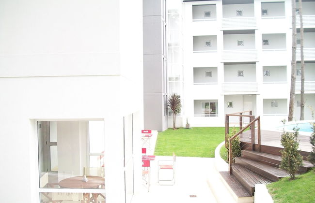 Avutarda de Carilo - Photo 64