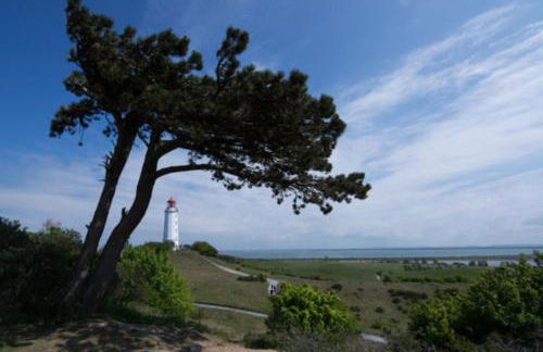 Ferienwohnung Boddenblick - Foto 23