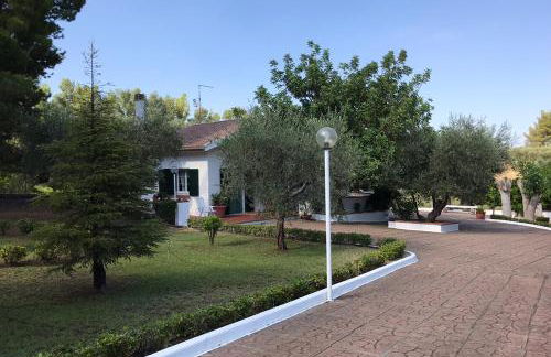 Villa Il Carrubo - Basilicata - Foto 11