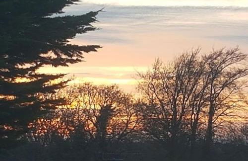 Stunning 3 Bed Riverside Cabin in Snowdonia - Photo 53
