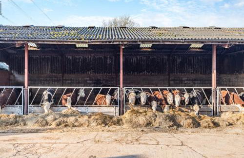 The Dairy- Uk45533 - Photo 15