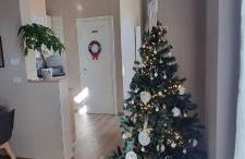 Alemanni54 - Apartment - Photo 50