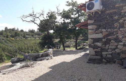 Casa do Feitor - Douro - Quinta da Cabrida - Foto 67