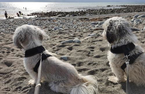 Snowdonia Sunbeach Holiday Sea and Mountain view - Photo 47