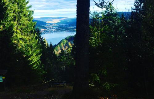 Ferienhaus "Am Wäldle" - Photo 32