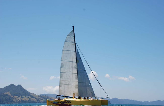 Coromandel Coast Boat Tour - Photo 4