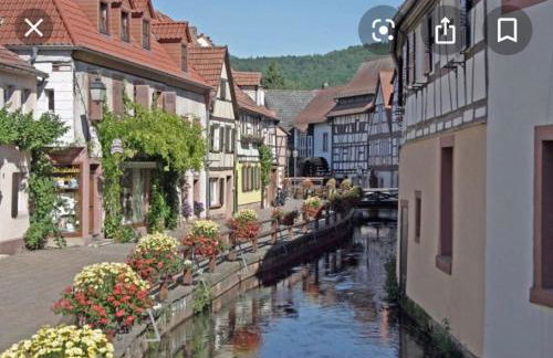 Toms Ferienhütte - Foto 20