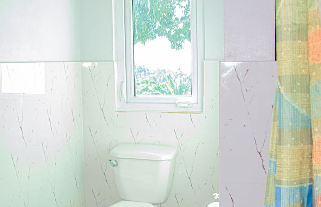 Crystal Jamaica Villa - Photo 66