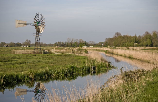 Bungalowpark It Wiid - Foto 20