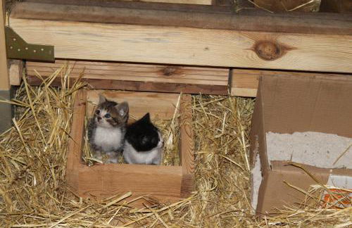 Eco Urbión - Foto 139