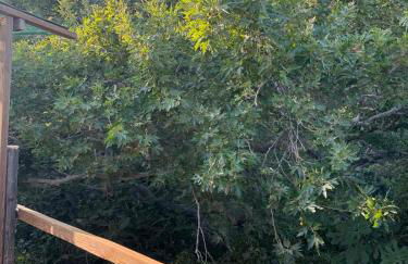 Michalis studio - Photo 28