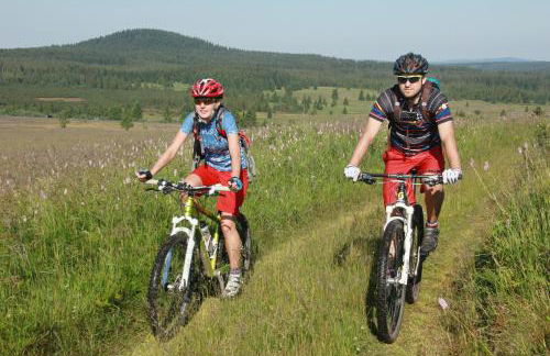 Ferienvermietung Engelstädter - Foto 79