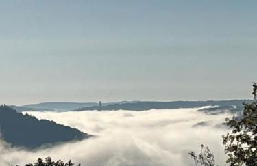 Noah - Seeleben auf Zeit am Rursee - Foto 20