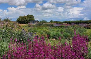 2 Bed in Yoxford oc-hharro - Foto 10