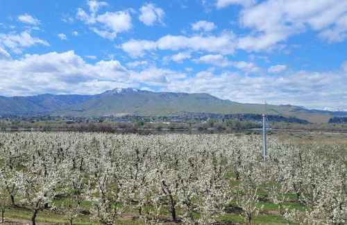 Immaculate Home w/ Mtn and River Views! - Foto 27