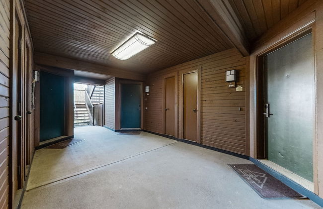 Timber Run - Foto 78