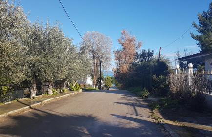 Studio Kalypso - Foto 26