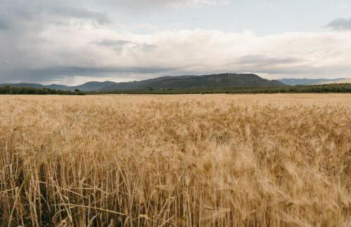 Apartamentos Turísticos La Teja - Foto 10