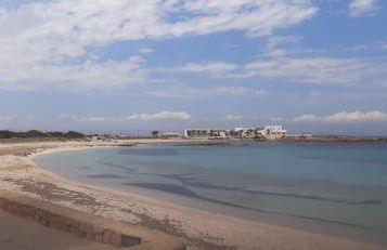 Estudios Nandy - Foto 8