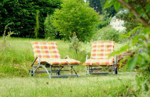Haus Frohsinn- Feldberg im Schwarzwald - Photo 24
