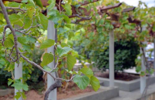 Vasilaras Hotel - Foto 48