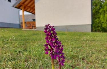 Apartment Rosie - Foto 28