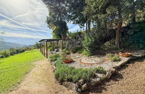 Bosque da Fantasia - Foto 71